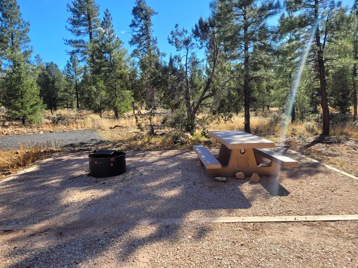 ELK LOOP, SINGLE CAMPSITE E02, WITH A PICNIC TABLES AND A FIRE RING
