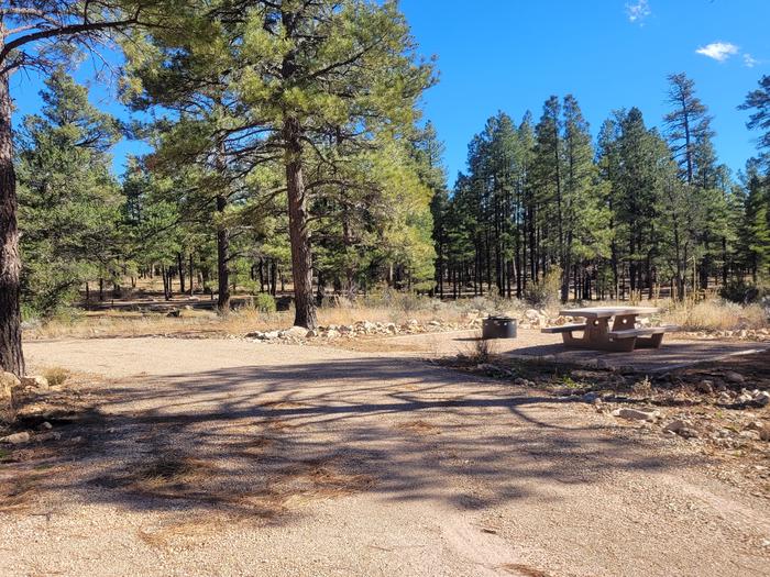 ELK LOOP, SINGLE CAMPSITE E03, WITH A PICNIC TABLES AND A FIRE RING