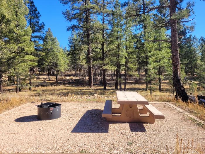 ELK LOOP, SINGLE CAMPSITE E04, WITH A PICNIC TABLES AND A FIRE RING
