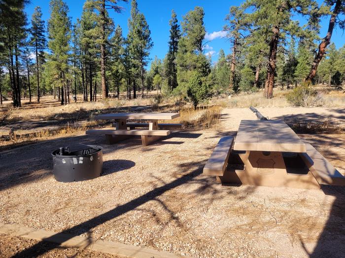 ELK LOOP, DOUBLE CAMPSITE E05, WITH TWO PICNIC TABLES AND A FIRE RING AND TWO PARKING SPACES