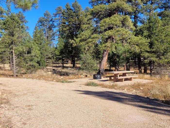 ELK LOOP, SINGLE CAMPSITE E08, WITH A PICNIC TABLES AND A FIRE RING