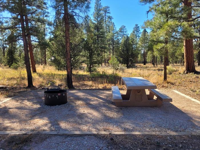 ELK LOOP, SINGLE CAMPSITE E09, WITH A PICNIC TABLES AND A FIRE RING