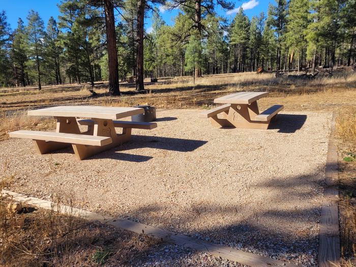 ELK LOOP, SINGLE CAMPSITE E11, WITH A PICNIC TABLES AND A FIRE RING