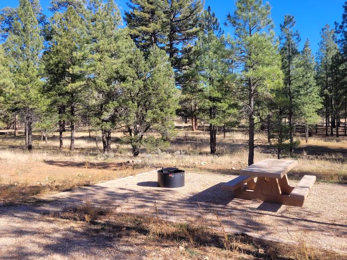 ELK LOOP, SINGLE CAMPSITE E10, WITH A PICNIC TABLES AND A FIRE RING AND TENT PAD