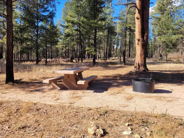 ELK LOOP, SINGLE CAMPSITE E12, WITH A PICNIC TABLES AND A FIRE RING