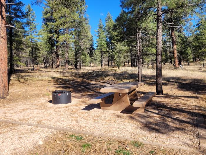 ELK LOOP, SINGLE CAMPSITE E13, WITH A PICNIC TABLES AND A FIRE RING