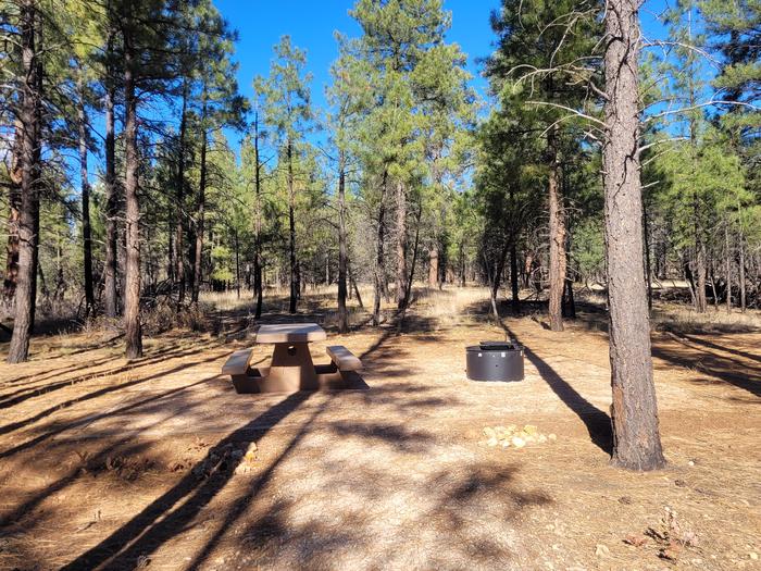 ELK LOOP, SINGLE CAMPSITE E15, WITH A PICNIC TABLES AND A FIRE RING