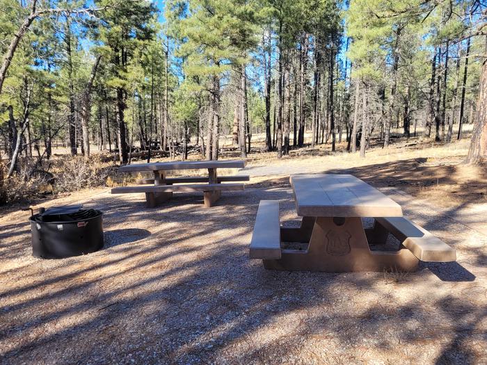 ELK LOOP, DOUBLE CAMPSITE E16, WITH TWO PICNIC TABLES AND A FIRE RING AND TWO PARKING SPACES