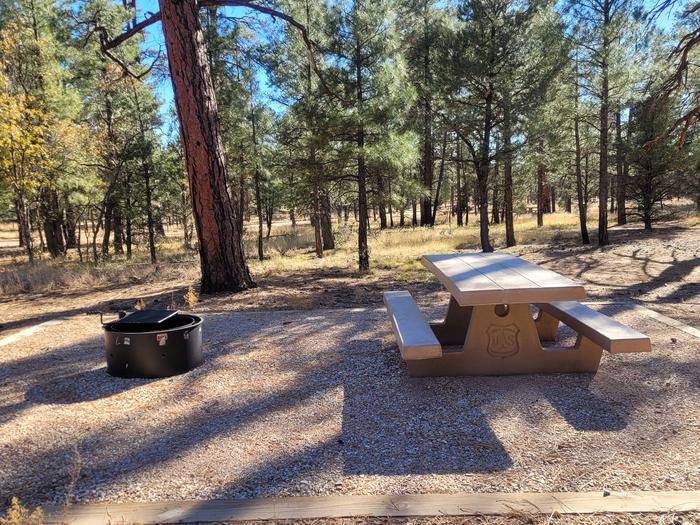 ELK LOOP, SINGLE CAMPSITE E17, WITH A PICNIC TABLES AND A FIRE RING