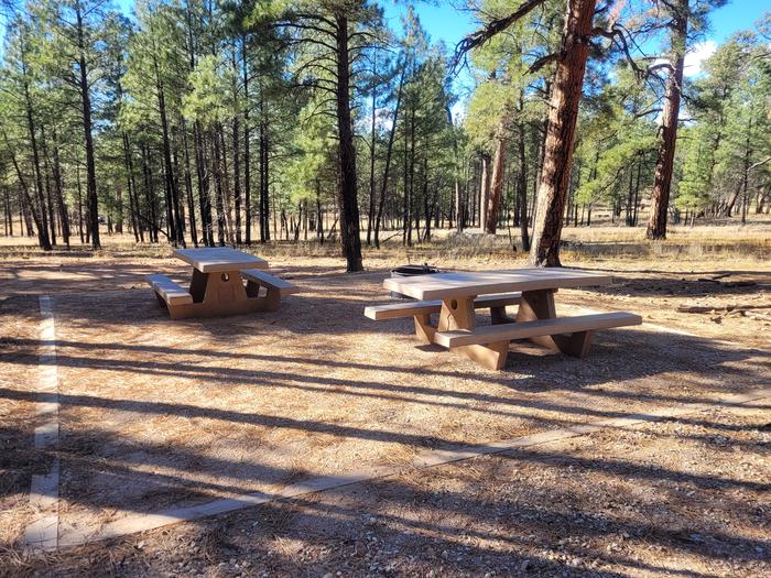 ELK LOOP, DOUBLE CAMPSITE E18, WITH TWO PICNIC TABLES AND A FIRE RING AND TWO PARKING SPACES