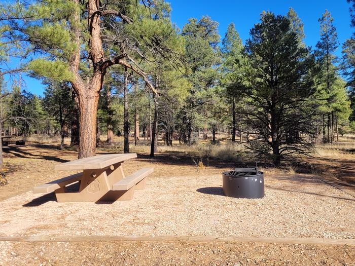 ELK LOOP, SINGLE CAMPSITE E19, WITH A PICNIC TABLES AND A FIRE RING