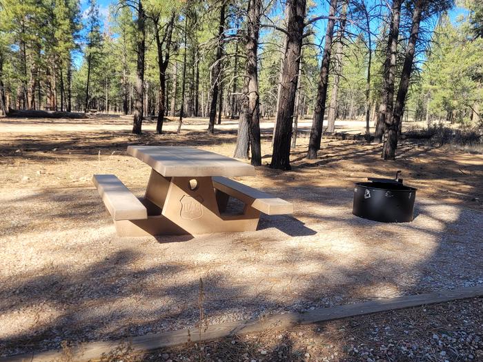 ELK LOOP, SINGLE CAMPSITE E21, WITH A PICNIC TABLES AND A FIRE RING