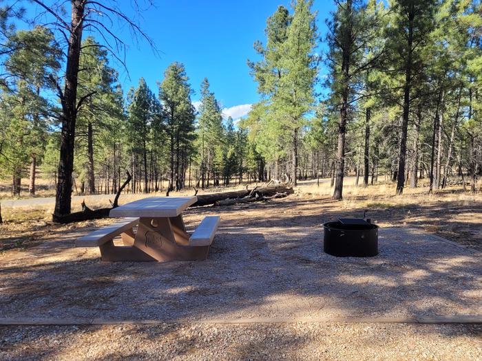ELK LOOP, SINGLE CAMPSITE E22, WITH A PICNIC TABLES AND A FIRE RING