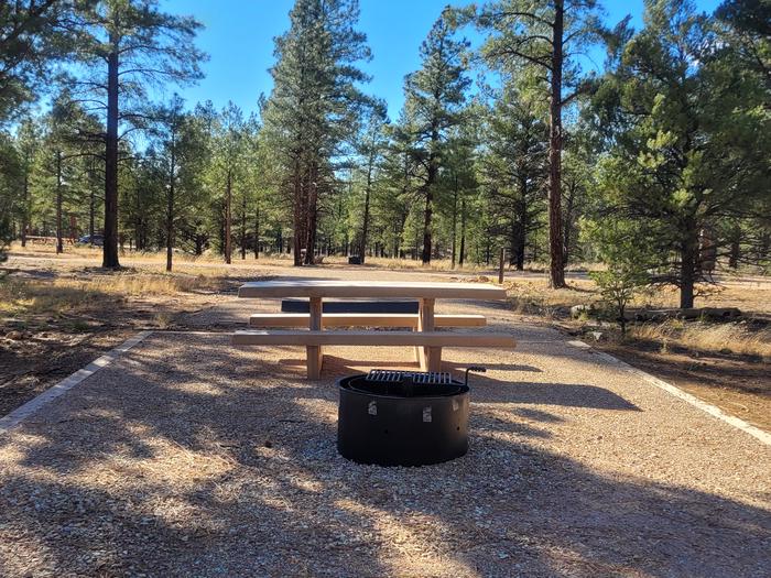 ELK LOOP, SINGLE CAMPSITE E23, WITH A PICNIC TABLES AND A FIRE RING
