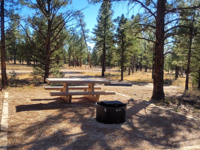 ELK LOOP, SINGLE CAMPSITE E25, WITH A PICNIC TABLES AND A FIRE RING