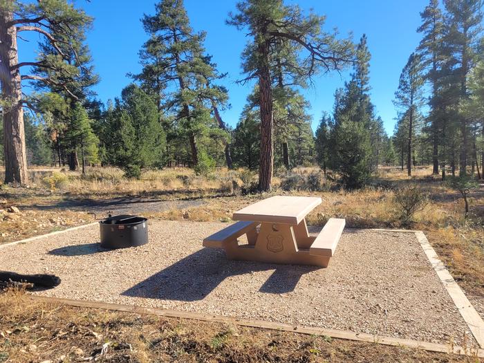 ELK LOOP, SINGLE CAMPSITE E26, WITH A PICNIC TABLES AND A FIRE RING