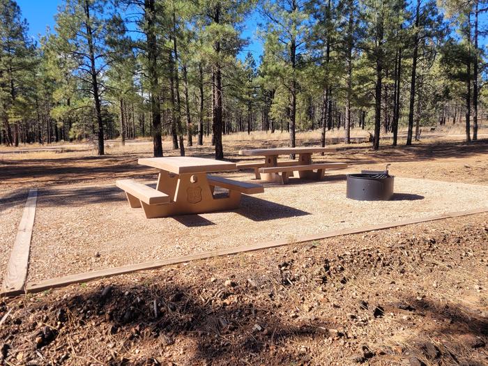 PRONGHORN LOOP, DOUBLE CAMPSITE P01, WITH TWO PICNIC TABLES AND A FIRE RING AND TWO PARKING SPACES