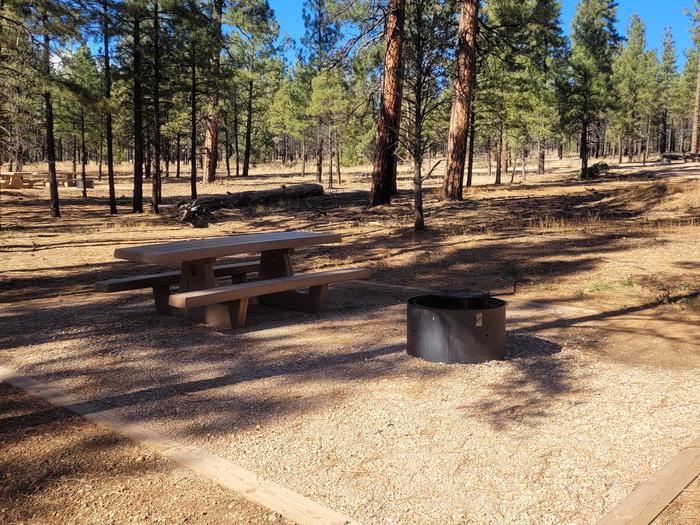 PRONGHORN LOOP, SINGLE CAMPSITE P02, WITH A PICNIC TABLES AND A FIRE RING