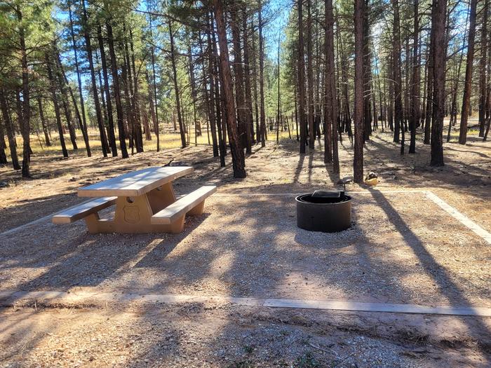 PRONGHORN LOOP, SINGLE CAMPSITE P03, WITH A PICNIC TABLES AND A FIRE RING