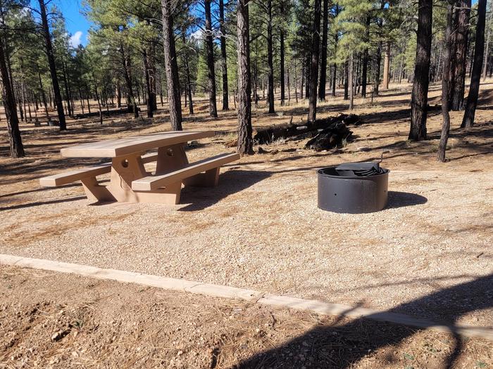 PRONGHORN LOOP, SINGLE CAMPSITE P04, WITH A PICNIC TABLES AND A FIRE RING