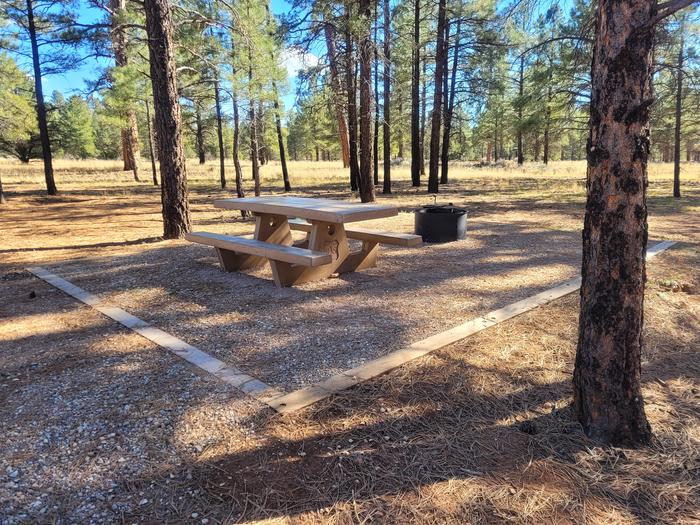 PRONGHORN LOOP, SINGLE CAMPSITE P05, WITH A PICNIC TABLES AND A FIRE RING