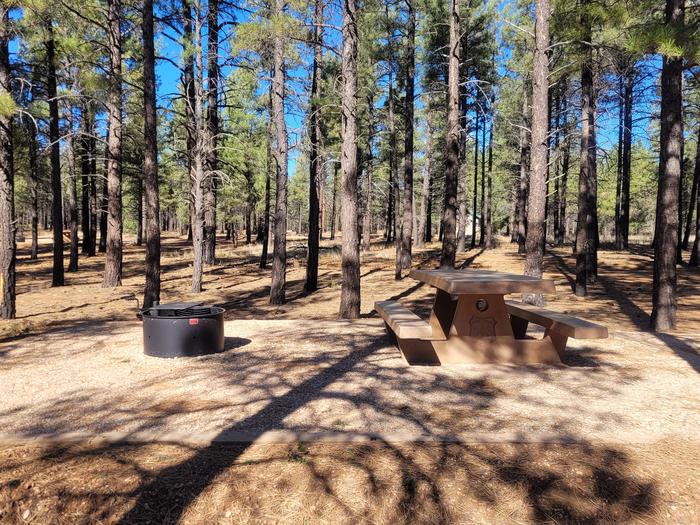 PRONGHORN LOOP, SINGLE CAMPSITE P06, WITH A PICNIC TABLES AND A FIRE RING