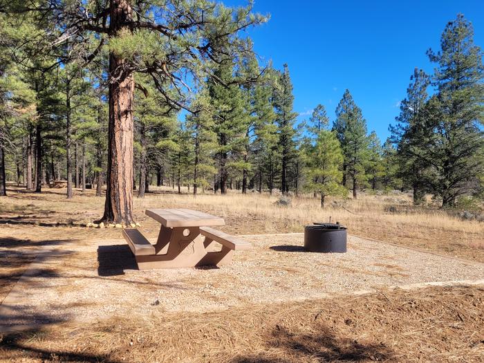 PRONGHORN LOOP, SINGLE CAMPSITE P07, WITH A PICNIC TABLES AND A FIRE RING