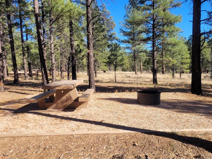 PRONGHORN LOOP, SINGLE CAMPSITE P09, WITH A PICNIC TABLES AND A FIRE RING