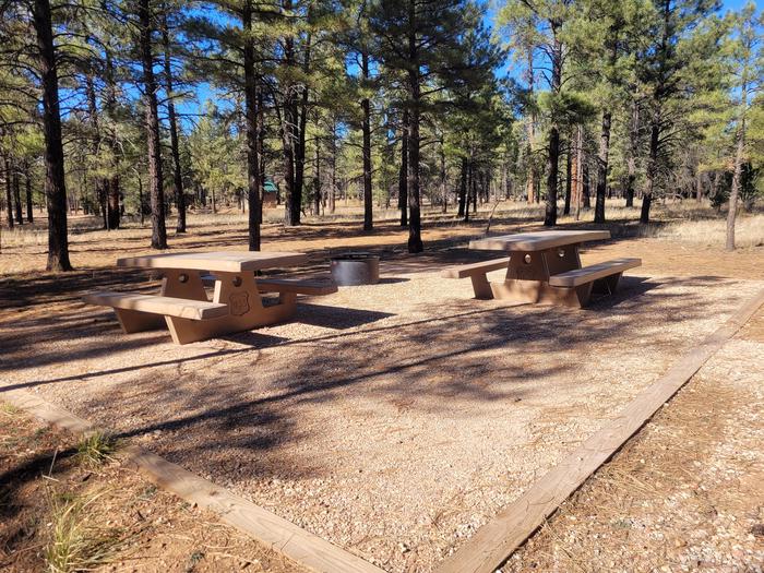 PRONGHORN LOOP, DOUBLE CAMPSITE P10, WITH TWO PICNIC TABLES AND A FIRE RING AND TWO PARKING SPACES
