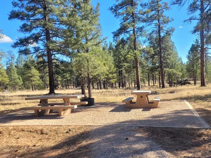 PRONGHORN LOOP, DOUBLE CAMPSITE P11, WITH TWO PICNIC TABLES AND A FIRE RING AND TWO PARKING SPACESPRONGHORN LOOP, DOUBLE CAMPSITE P10, WITH TWO PICNIC TABLES AND A FIRE RING AND TWO PARKING SPACES