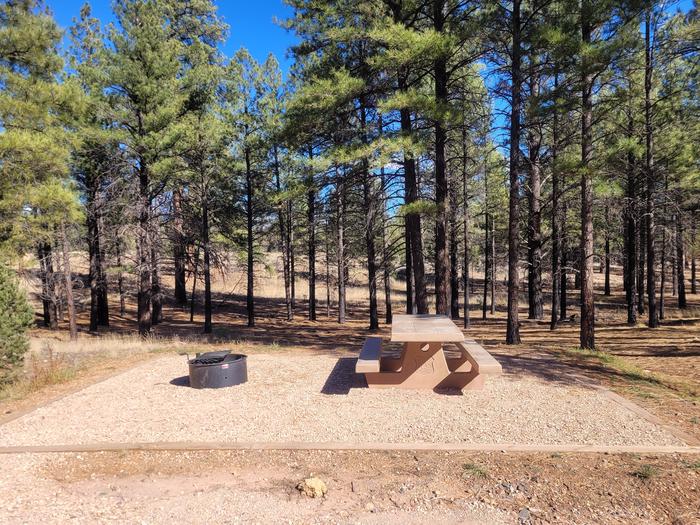 PRONGHORN LOOP, SINGLE CAMPSITE P13, WITH A PICNIC TABLES AND A FIRE RING