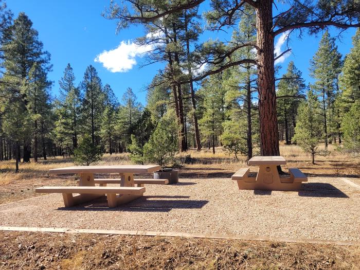 PRONGHORN LOOP, DOUBLE CAMPSITE P14, WITH TWO PICNIC TABLES AND A FIRE RING AND TWO PARKING SPACESPRONGHORN LOOP, DOUBLE CAMPSITE P, WITH TWO PICNIC TABLES AND A FIRE RING AND TWO PARKING SPACES
