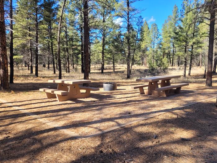PRONGHORN LOOP, DOUBLE CAMPSITE P19, WITH TWO PICNIC TABLES AND A FIRE RING AND TWO PARKING SPACES
