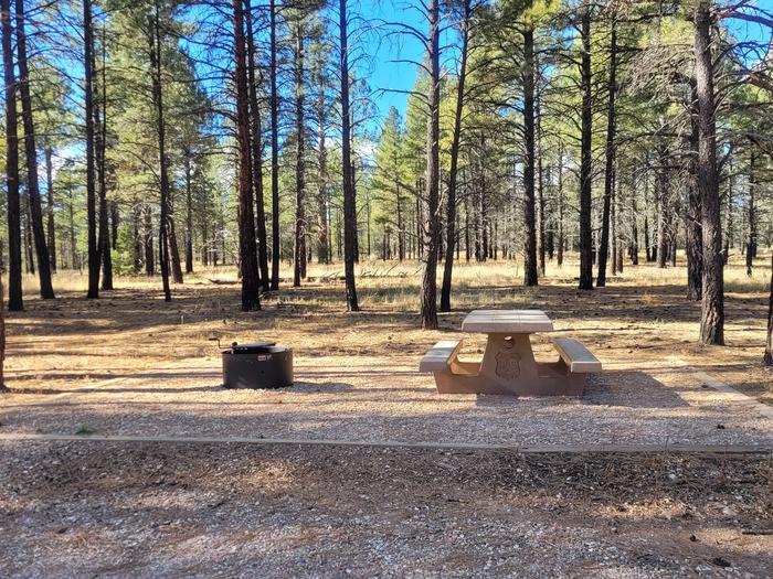 PRONGHORN LOOP, SINGLE CAMPSITE P20, WITH A PICNIC TABLES AND A FIRE RING