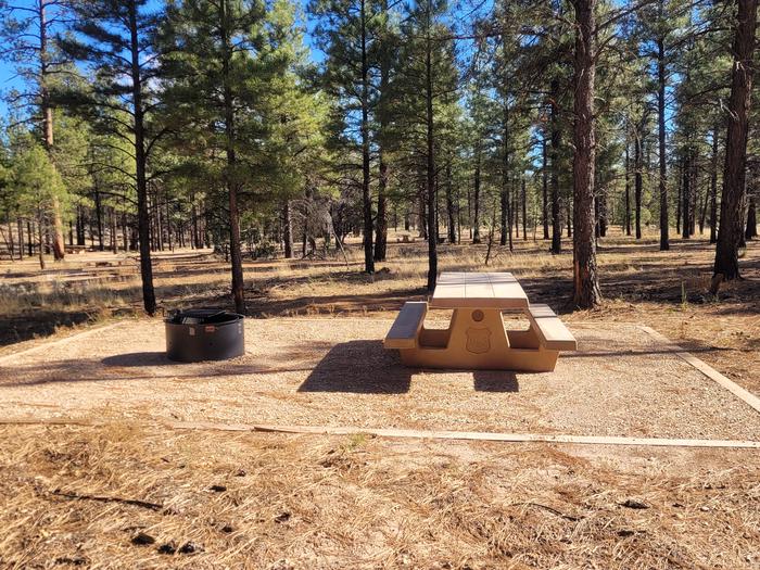 PRONGHORN LOOP, SINGLE CAMPSITE P21, WITH A PICNIC TABLES AND A FIRE RING