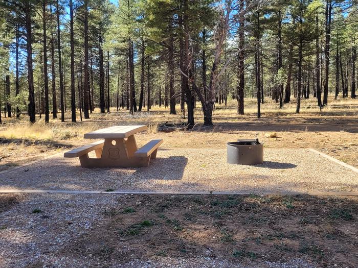 PRONGHORN LOOP, SINGLE CAMPSITE P22, WITH A PICNIC TABLES AND A FIRE RING