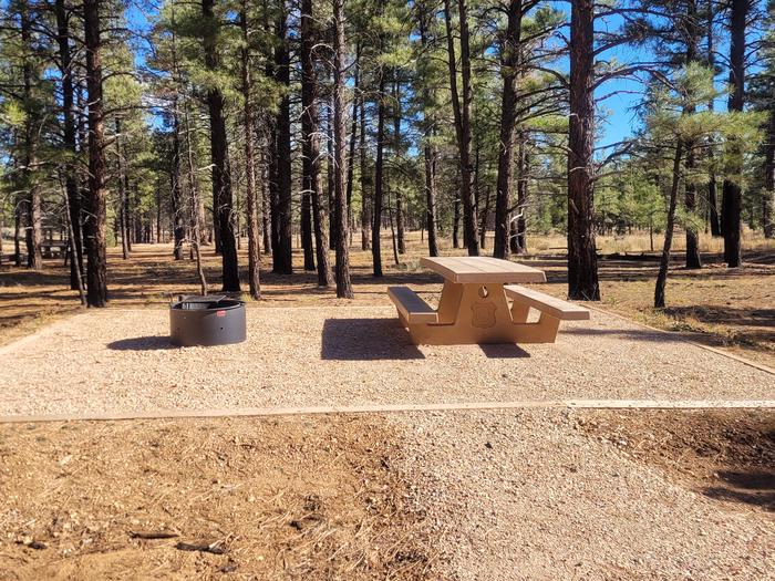 PRONGHORN LOOP, SINGLE CAMPSITE P23, WITH A PICNIC TABLES AND A FIRE RING