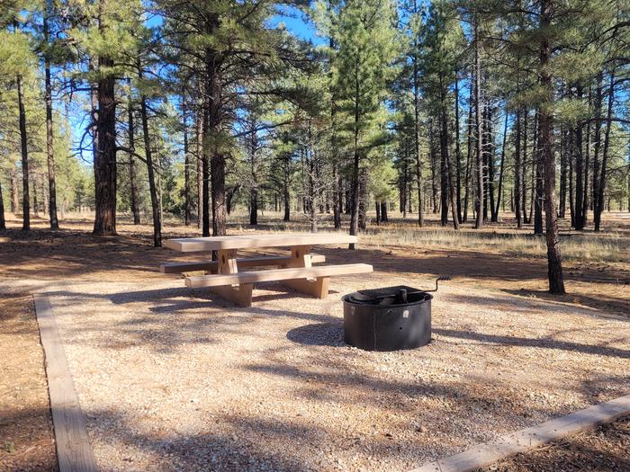 PRONGHORN LOOP, SINGLE CAMPSITE P27, WITH A PICNIC TABLES AND A FIRE RING