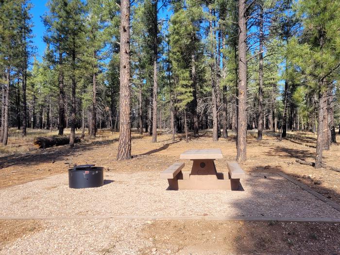 PRONGHORN LOOP, SINGLE CAMPSITE P28, WITH A PICNIC TABLES AND A FIRE RING