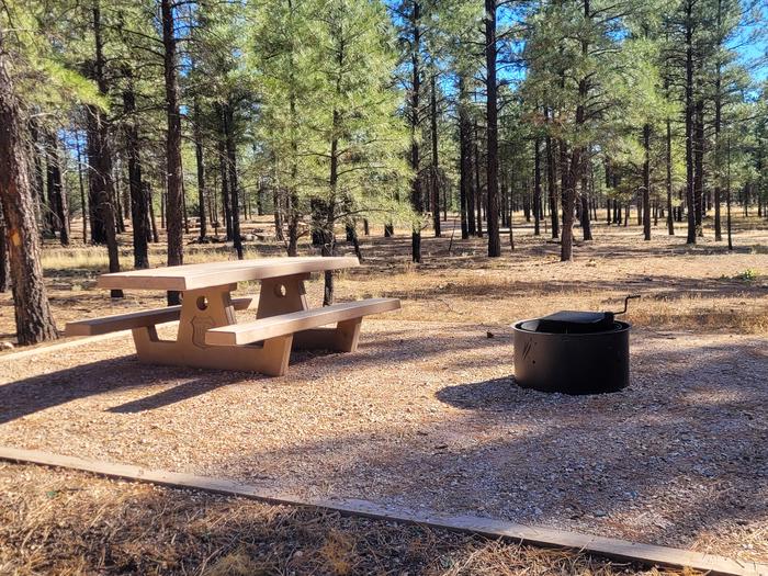 PRONGHORN LOOP, SINGLE CAMPSITE P29, WITH A PICNIC TABLES AND A FIRE RING