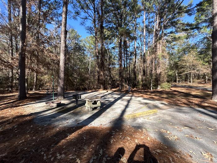 A photo of Site 001 of Loop OMIR at COTTON HILL with Picnic Table, Electricity Hookup, Sewer Hookup, Fire Pit, Shade, Full Hookup, Lantern Pole, Water Hookup