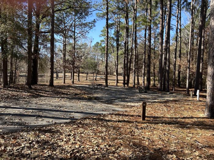 A photo of Site 002 of Loop OMIR at COTTON HILL with Picnic Table, Electricity Hookup, Sewer Hookup, Fire Pit, Shade, Full Hookup, Lantern Pole, Water Hookup
