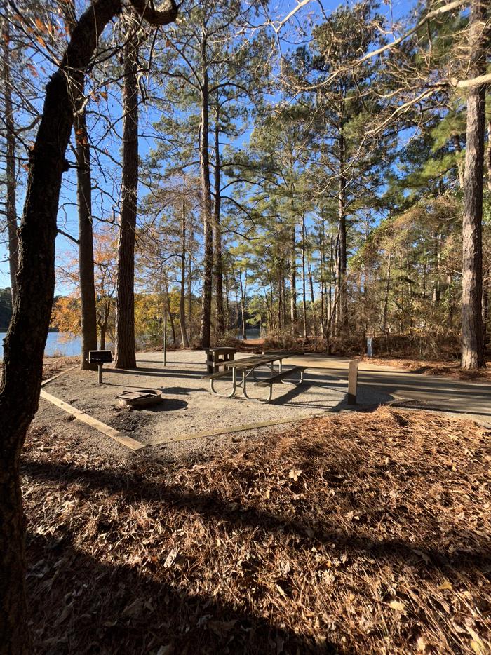 A photo of Site 11 of Loop BAYS at HARDRIDGE CREEK with Picnic Table, Electricity Hookup, Fire Pit, Lantern Pole, Water Hookup