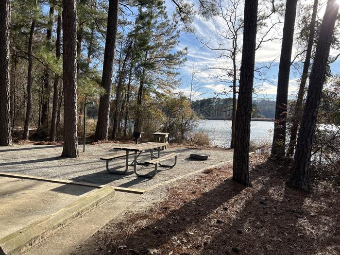 A photo of Site 10 of Loop BAYS at HARDRIDGE CREEK with Picnic Table, Electricity Hookup, Fire Pit, Shade, Waterfront, Lantern Pole, Water Hookup