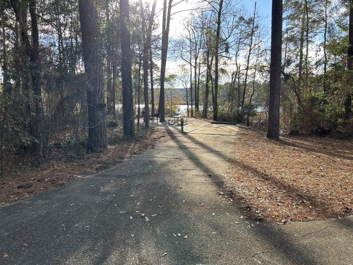 A photo of Site 12 of Loop BAYS at HARDRIDGE CREEK with Picnic Table, Electricity Hookup, Fire Pit, Shade, Waterfront, Lantern Pole, Water Hookup