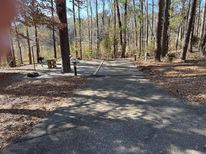 A photo of Site 04 of Loop BAYS at HARDRIDGE CREEK with Picnic Table, Electricity Hookup, Fire Pit, Shade, Waterfront, Lantern Pole, Water Hookup