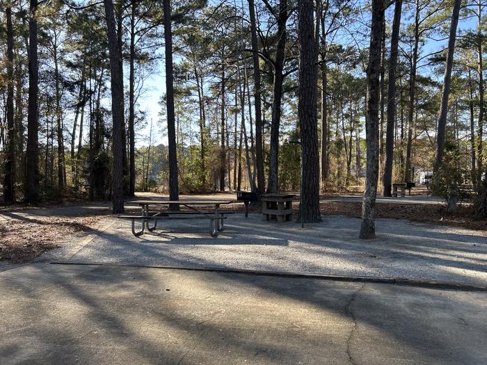 A photo of Site 22 of Loop BAYS at HARDRIDGE CREEK with Picnic Table, Electricity Hookup, Fire Pit, Shade, Lantern Pole, Water Hookup