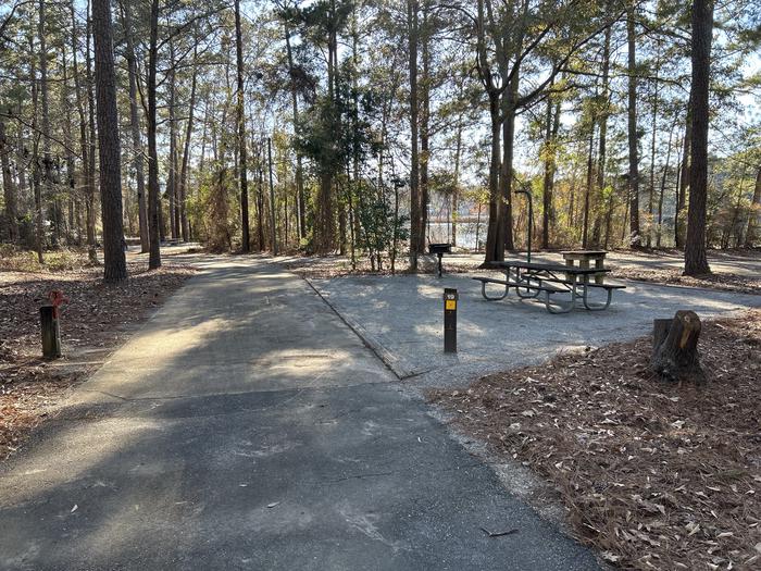 A photo of Site 19 of Loop BAYS at HARDRIDGE CREEK with Picnic Table, Electricity Hookup, Fire Pit, Shade, Lantern Pole