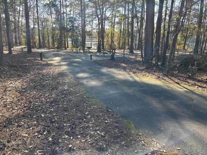 A photo of Site 19 of Loop BAYS at HARDRIDGE CREEK with Picnic Table, Electricity Hookup, Fire Pit, Shade, Lantern Pole, Water Hookup