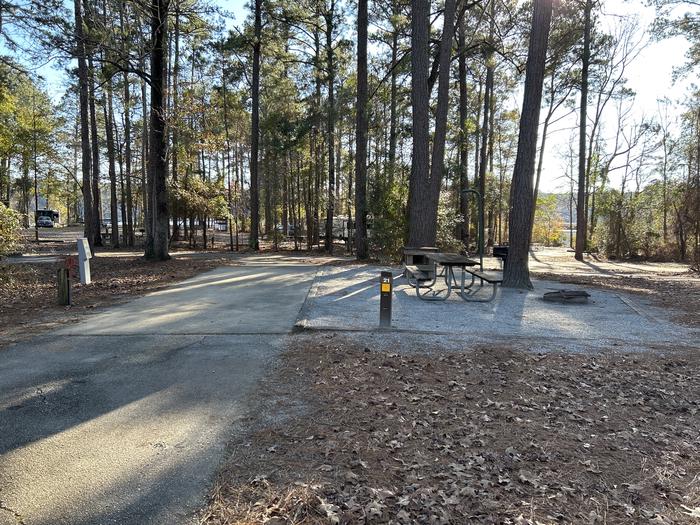A photo of Site 21 of Loop BAYS at HARDRIDGE CREEK with Picnic Table, Electricity Hookup, Fire Pit, Shade, Lantern Pole, Water Hookup
